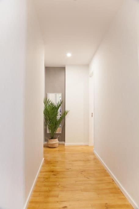 Apartamento En El Centro La Ciudad Appartement *